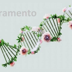 Simbramento: Transforming Art Through Technology
