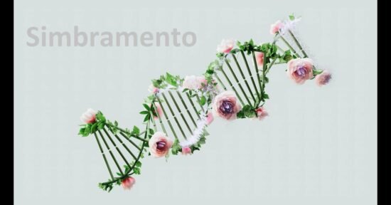 Simbramento: Transforming Art Through Technology