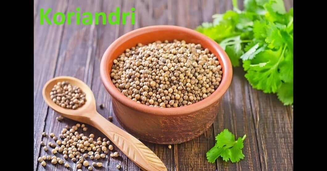 Koriandri: Health Benefits and Culinary Uses