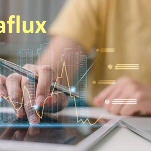 Pinaflux: Powering the Future Through Scalable Smart Technology
