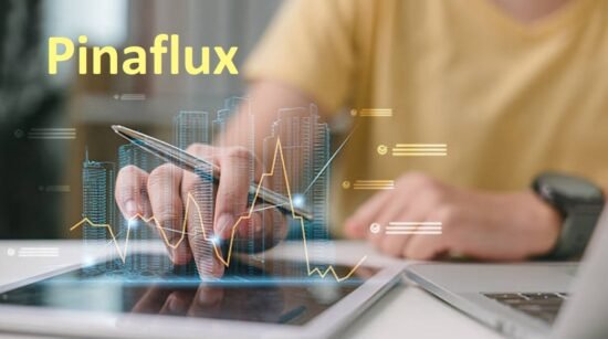 Pinaflux: Powering the Future Through Scalable Smart Technology